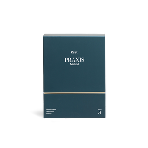 Praxis Method - 3 Journal Set